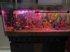 Aquarium / Fish Aquarium / Fish Aquarium For Sale