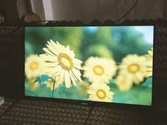 TV SAMSUNG 43 inches