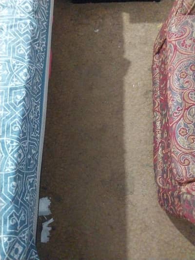 carpet/Qaleen Living Room