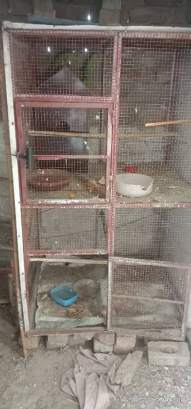 hen cage 1