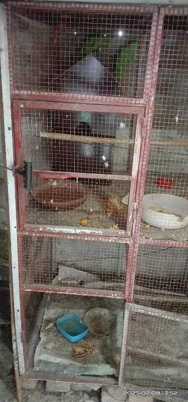 hen cage 2