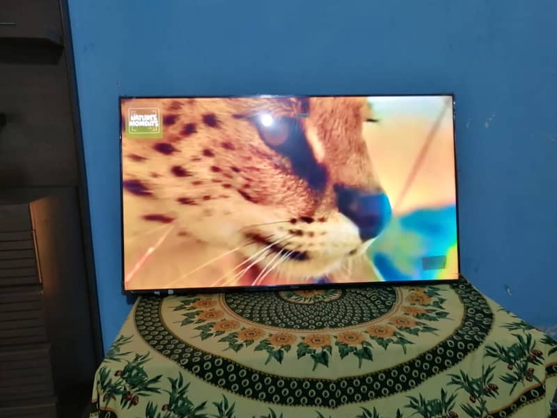 haier led 55 to 60 inch 4