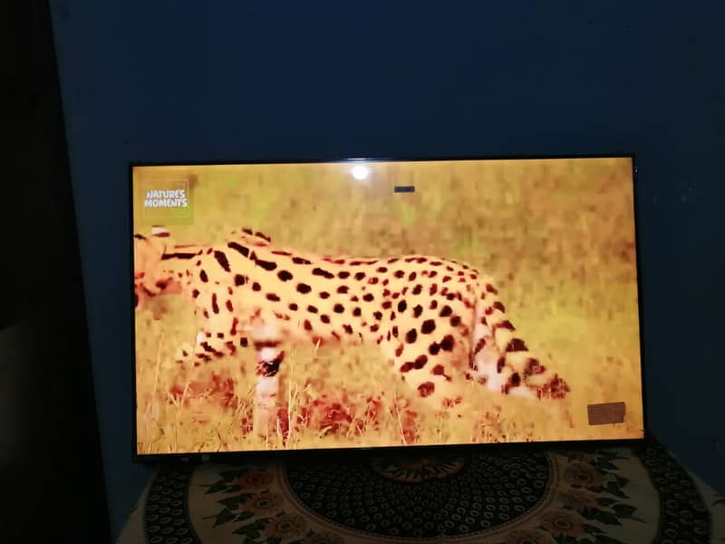 haier led 55 to 60 inch 6