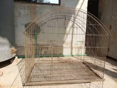 bird cage