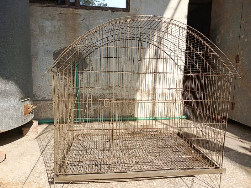 bird cage 0