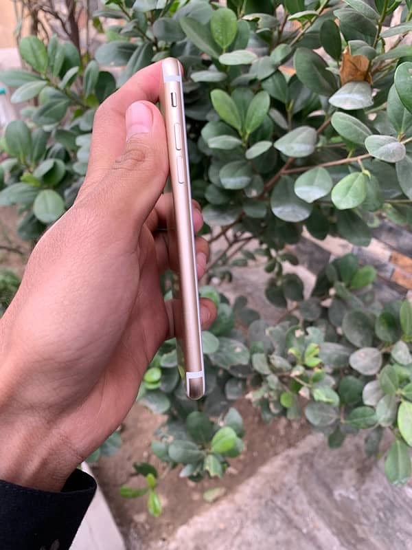 iphone 7 pta approved for sale 7