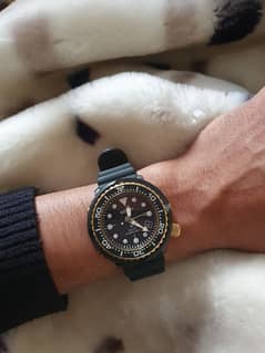 Seiko SNE498J1