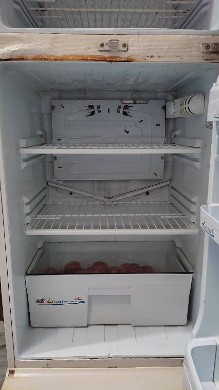 PEL Refrigerator 4