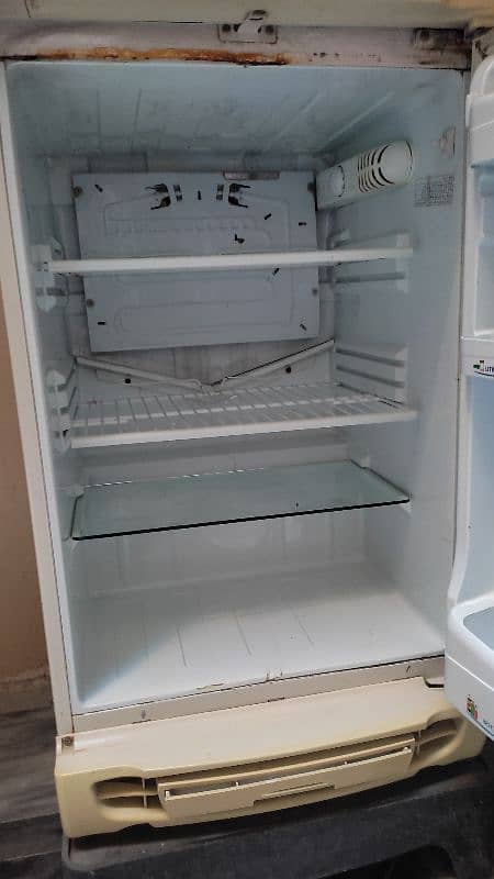 PEL Refrigerator 8