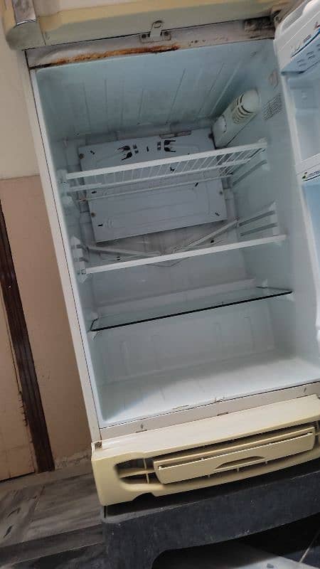 PEL Refrigerator 10