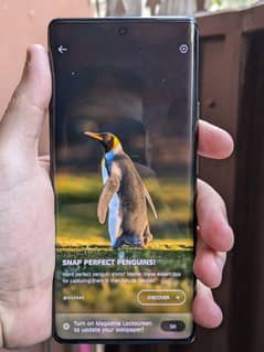 Tecno Spark 20 Pro Plus for Sale with Box