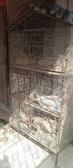 Cage for birds