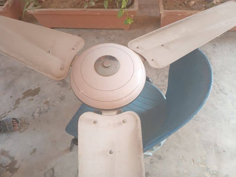 56" AC Pak fan 1