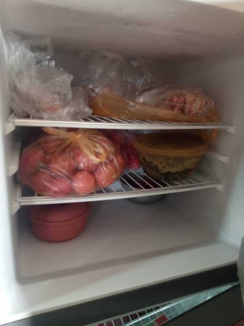 freezer for sale / fridge for sale 3