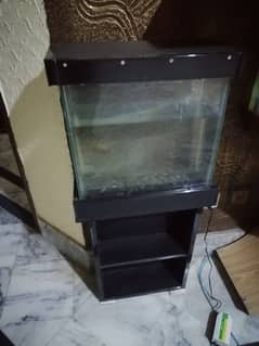 Fish Aquarium setup