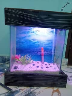 aquarium for fishes with all accessories