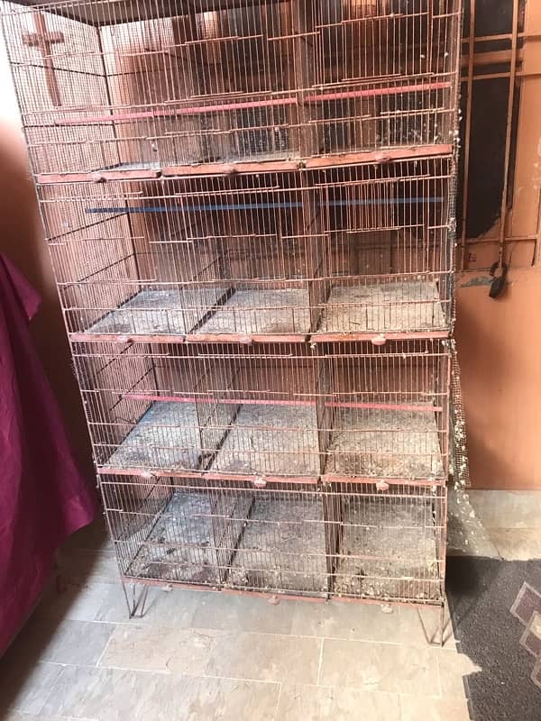 12 poison  cages for Australian birds 1