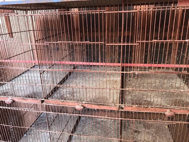 12 poison  cages for Australian birds 2