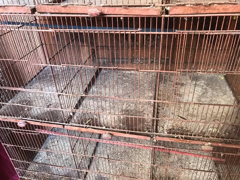 12 poison  cages for Australian birds 3