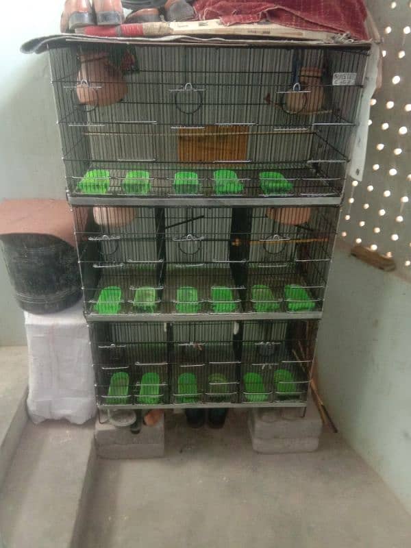 Pinjra sal kr raha ho 8 portion ka ha master cage ha 2