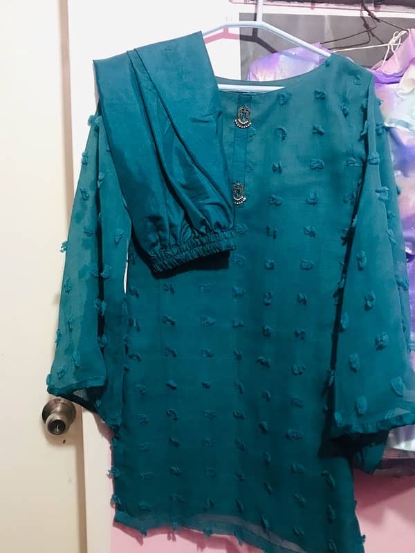 organza duppata and shirt 1