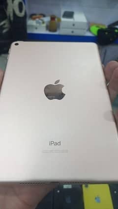 ipad mini 5