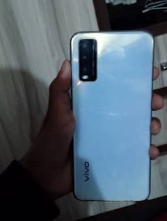 vivo