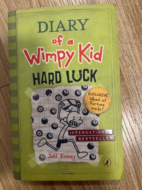 DIARY OF A WIMPY KID 4