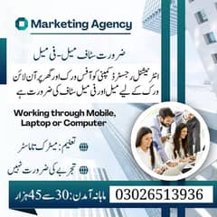 staff required for online and office working male and female