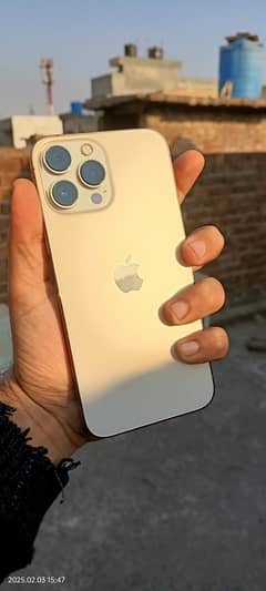 iPhone 13 Pro Max