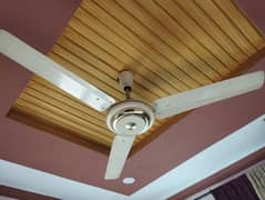 Ceiling Fan For Sale