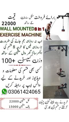 WALL MOUNTED EXERCISE MACHINE