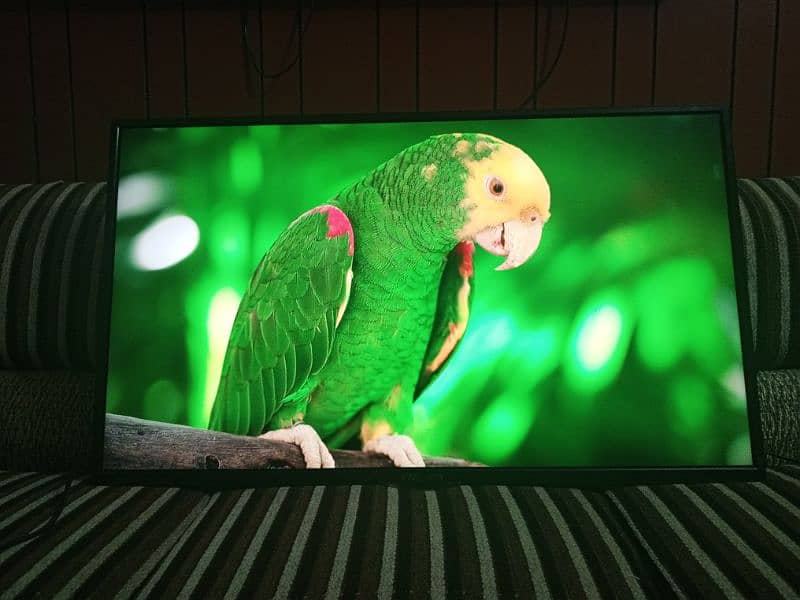 42 Inch LED TV Nikai (imported) 0