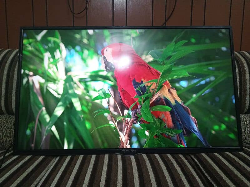 42 Inch LED TV Nikai (imported) 1