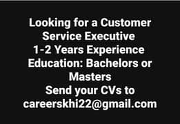 Customer Service Executive