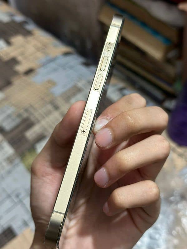 IPHONE 12 PRO MAX NON PTA 2