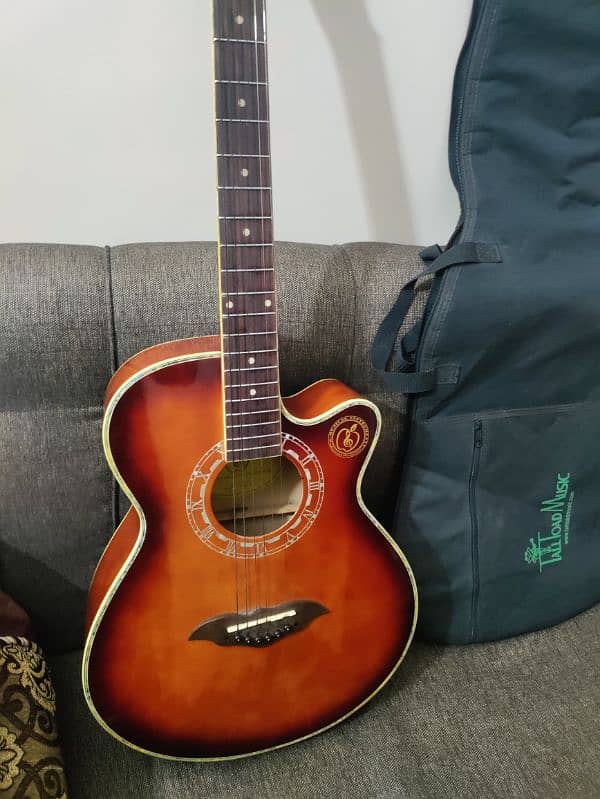 Acoustic guitar with bag,capo and picks 9