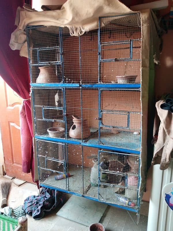 Birds Iron Cage 0