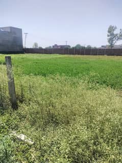 5 Kanals Land For Farm House On Bedian Road For Sell