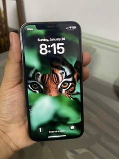 Apple iPhone 12 Pro PTA Approved