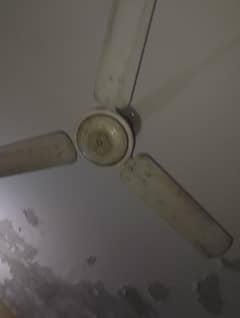 roof fan super asia