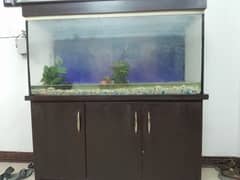 4ft Aquarium plus 3 cabinet shelf