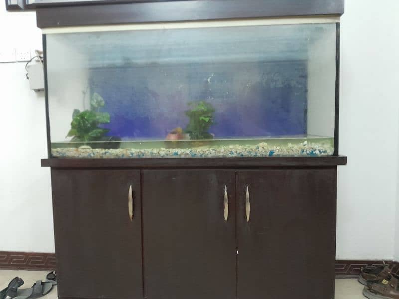 4ft Aquarium plus 3 cabinet shelf 0