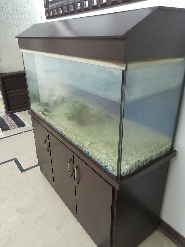 4ft Aquarium plus 3 cabinet shelf 1