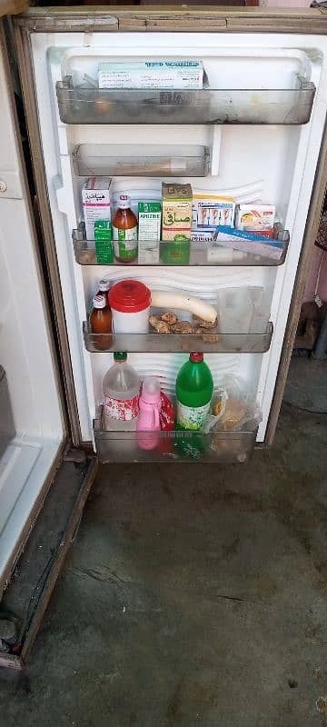 Dowlance Refrigerator 14 foot size 3