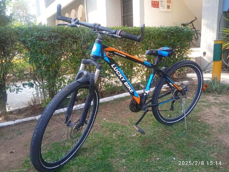 Bicycle in Perfect Condition 3