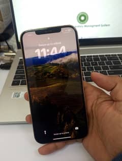 iPhone 12 pro max PTA approved 10/10 condition