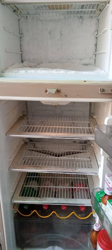 Refrigerator Dowlance Refrig 2