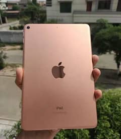 iPad Mini 5