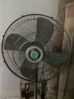 Rado pedestial fan